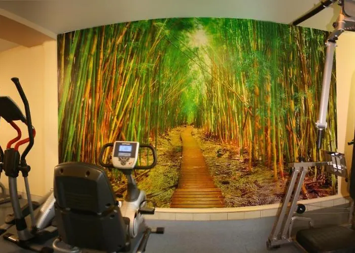 Resort Osrodek Wypoczynkowy Ondraszek 3*